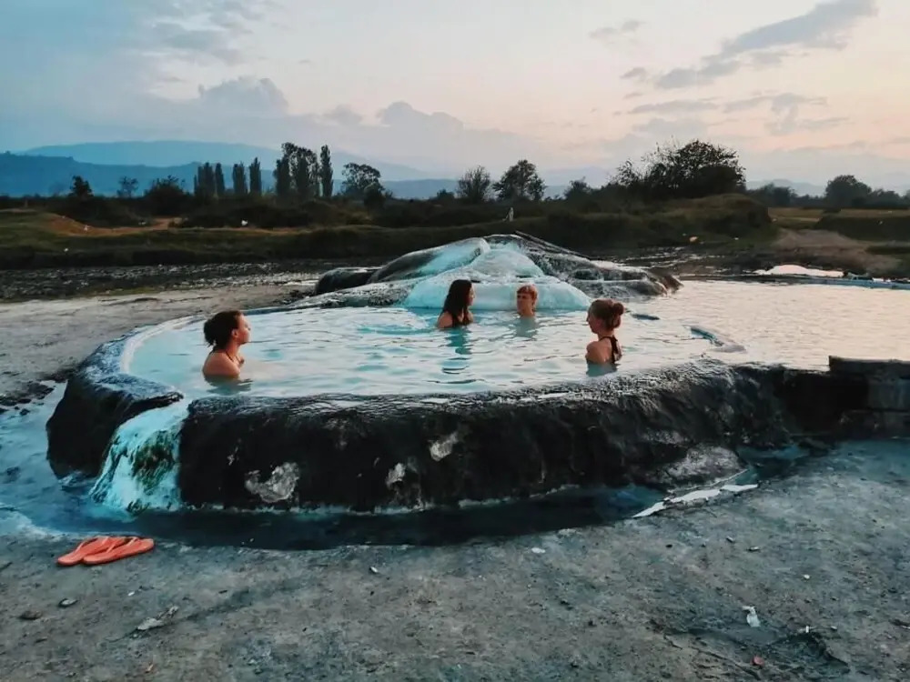 Хостел Dingo Backpackers