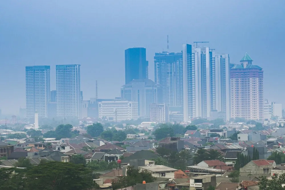 Highest Value 1BR Apartment at Ciputra International