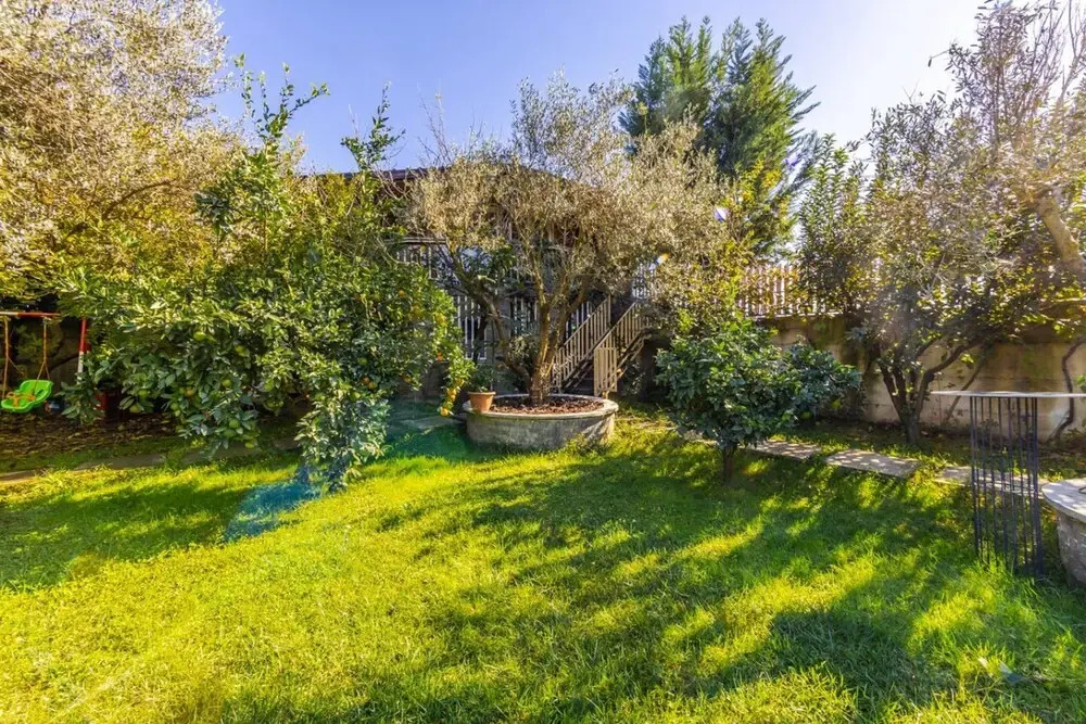 Ferma Gold Double Room With Private Garden