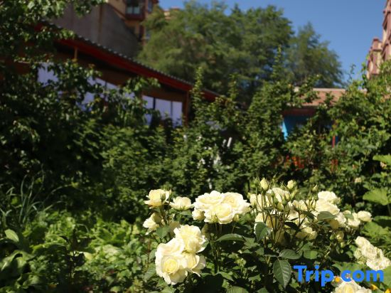 Temei Inn