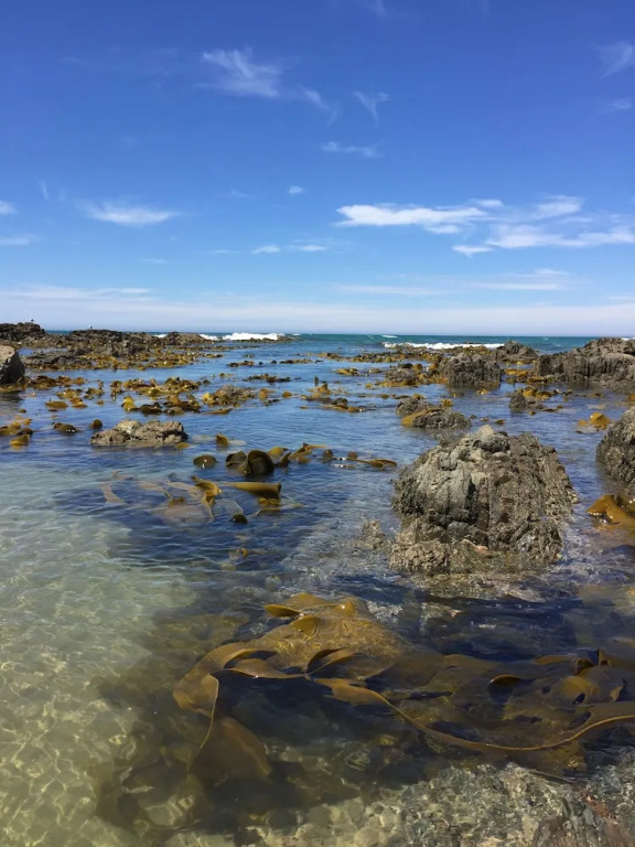 Kaka Point Motels