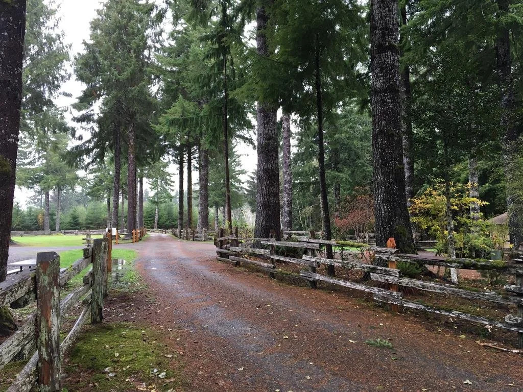 Hoh Rainforest Resort
