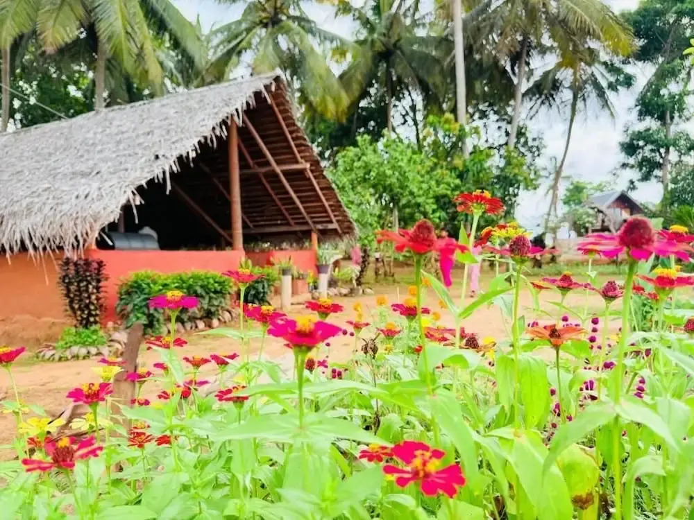 Kolla Watersong Eco Cabana resort