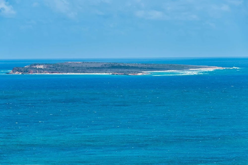 Tintamarre