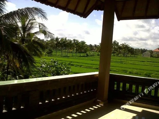 Arjana Bungalows Rice Field
