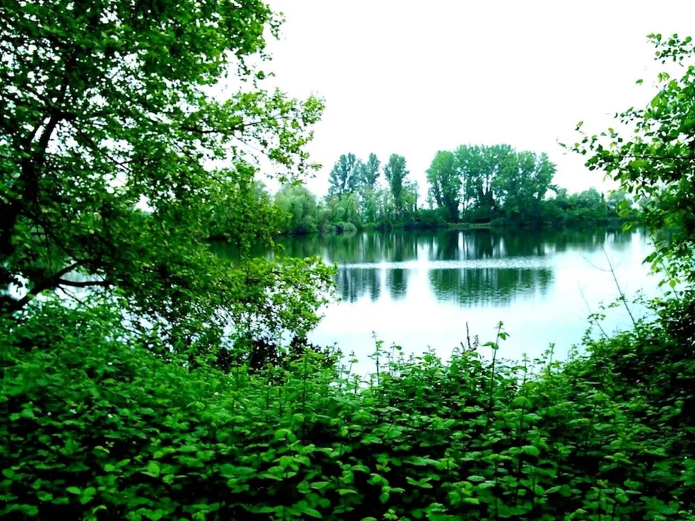 Al Lago dei Cigni