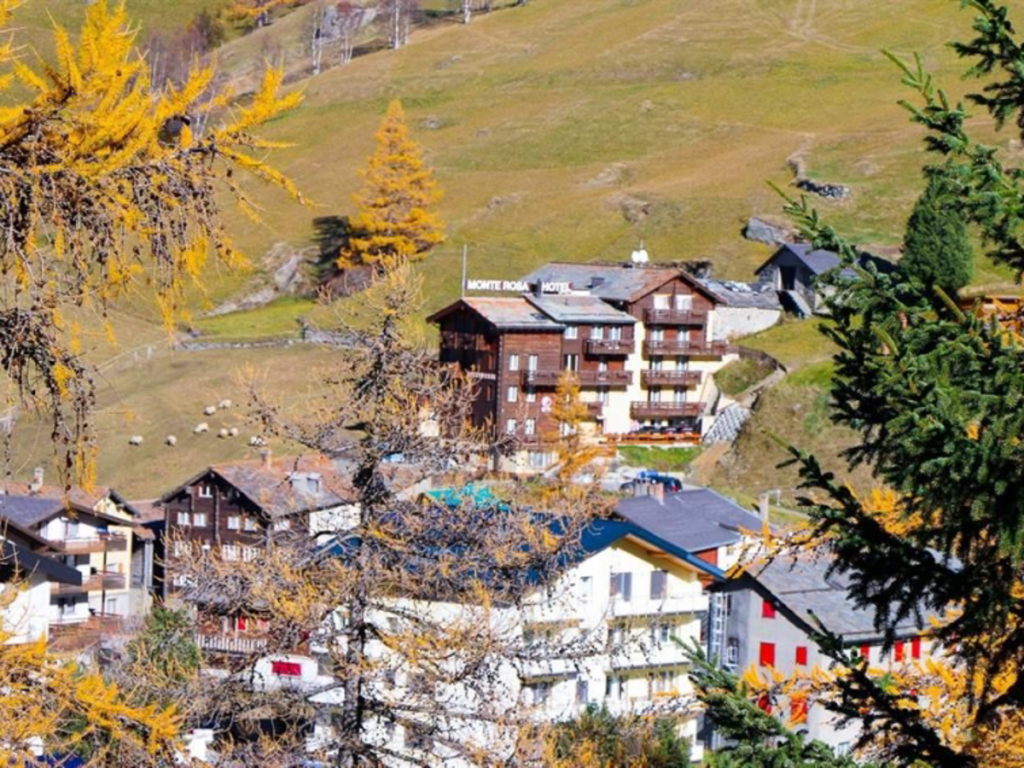 Monte Rosa 22210