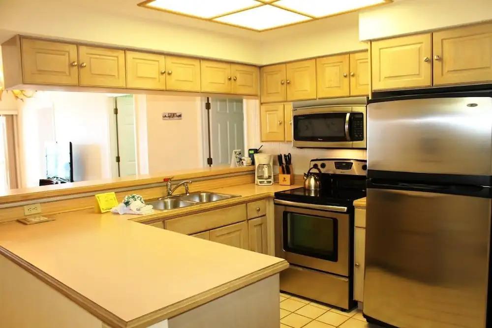 Beach Palms 505