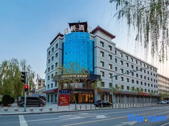Lavande Hotel（Lingwu government store）