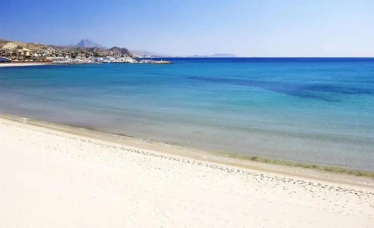 Camí de Fondo 2