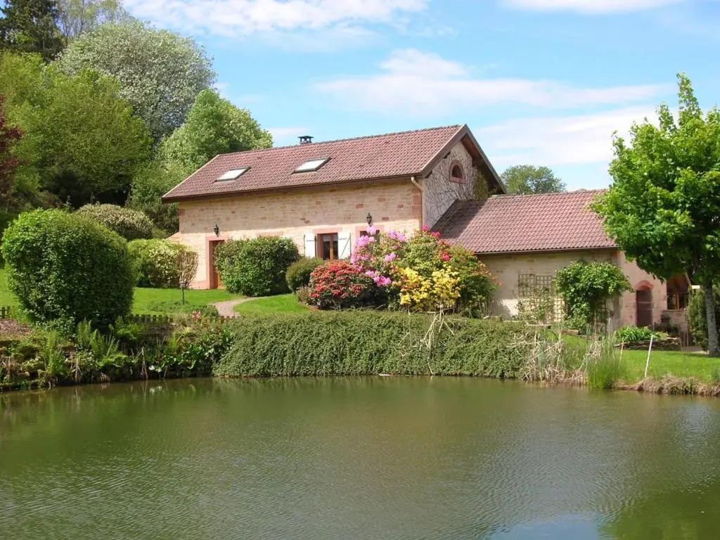 Spacieux Gîte Proche Forêt avec Sauna, Baby Foot et Activités Extérieures - À 10 min de Remiremont - FR-1-589-293
