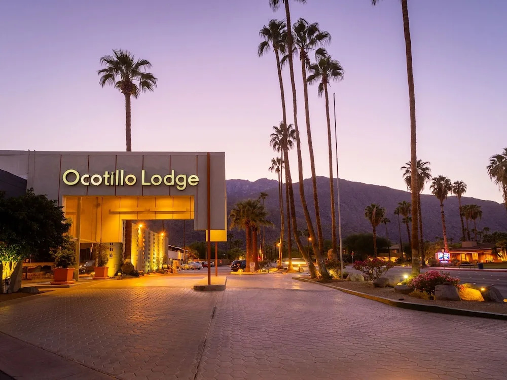Ocotillo Paradise