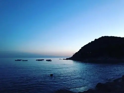 H24 Vacanze