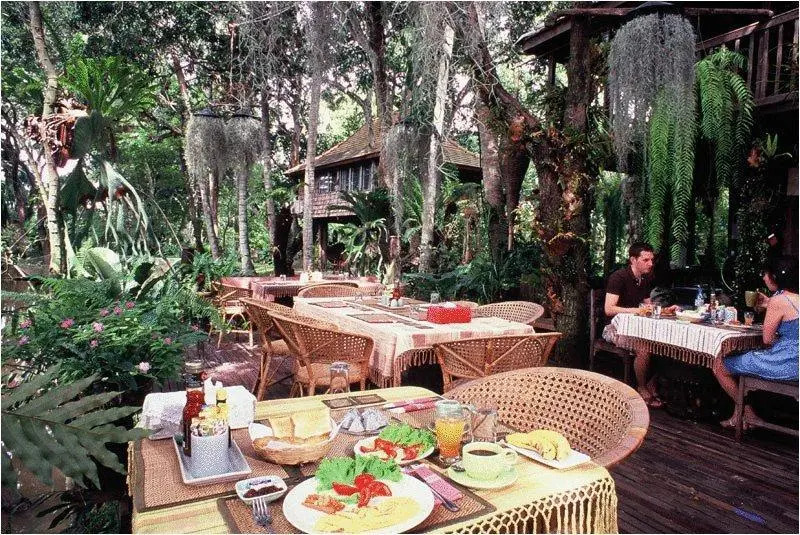 Fern Paradise