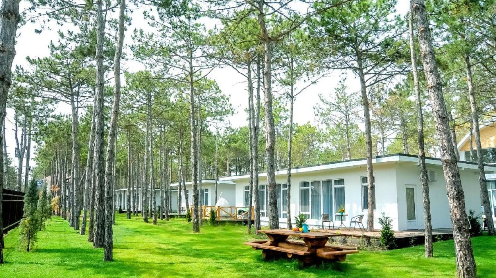 Vita Park