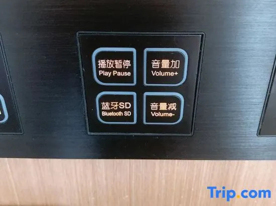 Ruijing Kairui Select Hotel (Wushang Dream Times & Wuhan University Branch, Wuhan)