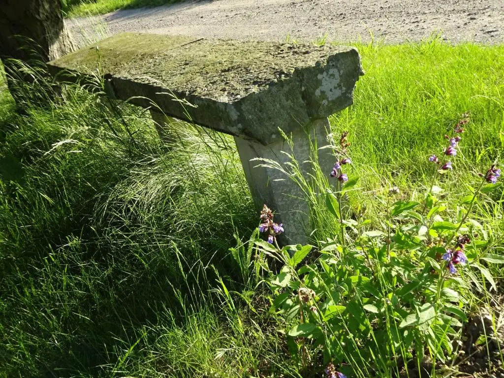 Alte Scheune Rietzschelhof mit Pool