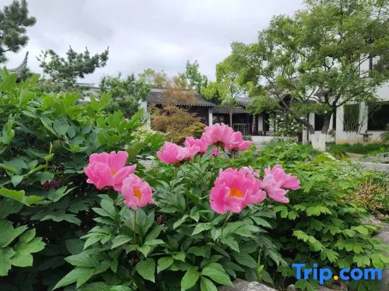 Xitang keyuan Homestay