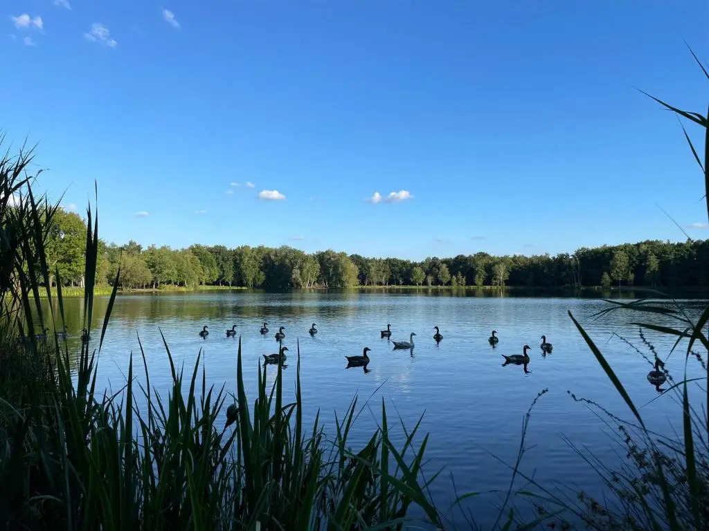 Mimi's natuurhuisje