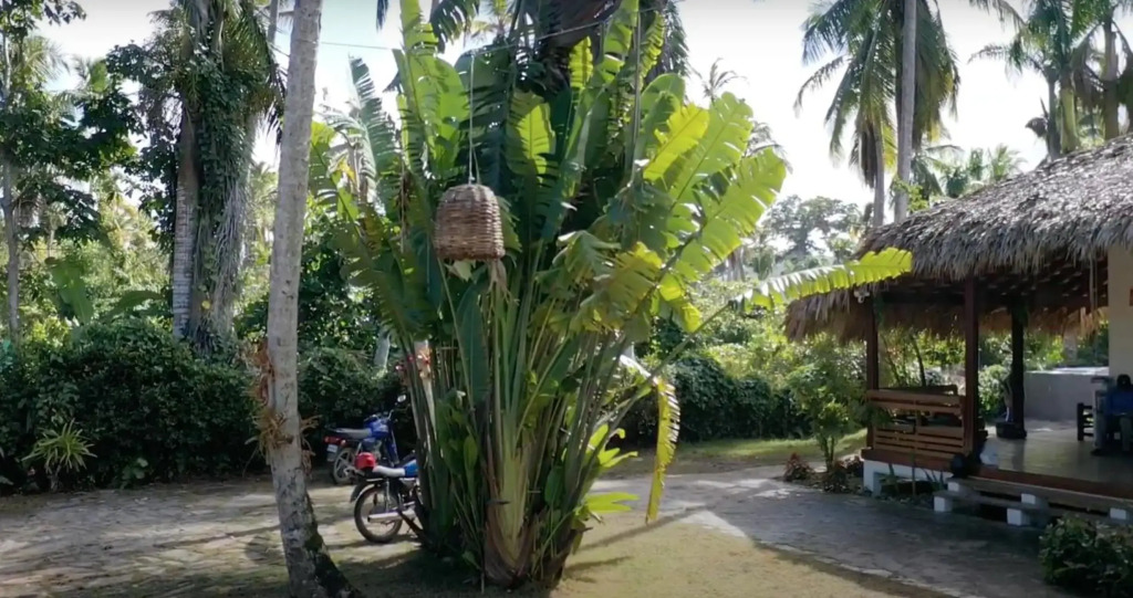 Villa Anantara 5min walk 2 Bonita Beach, Food &Bars