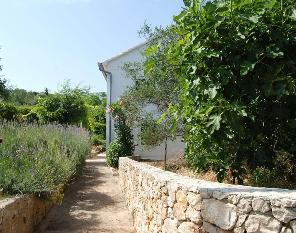 Detached House Miketa