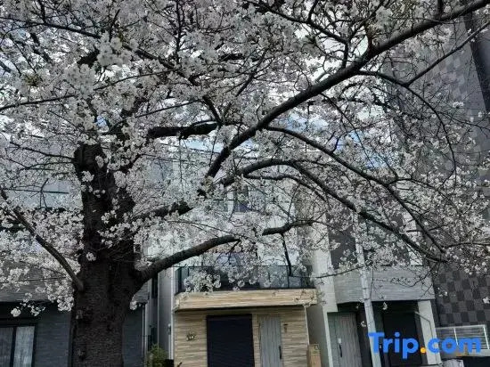 Sakura Retreat2 | Near Namba Nihonbashi | New house | 4 BR 2WC 2BA | 3 min-walk from Station