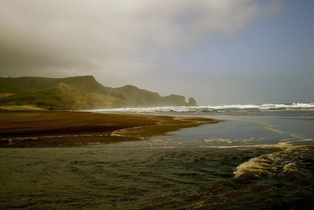 Bush Sand and Sea