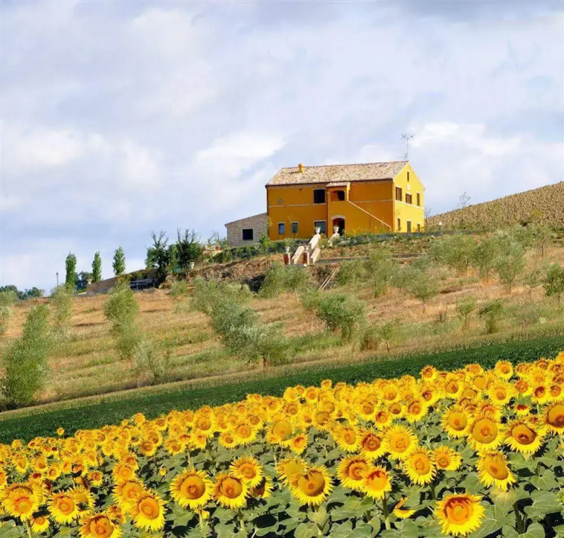 Villa Scuderi
