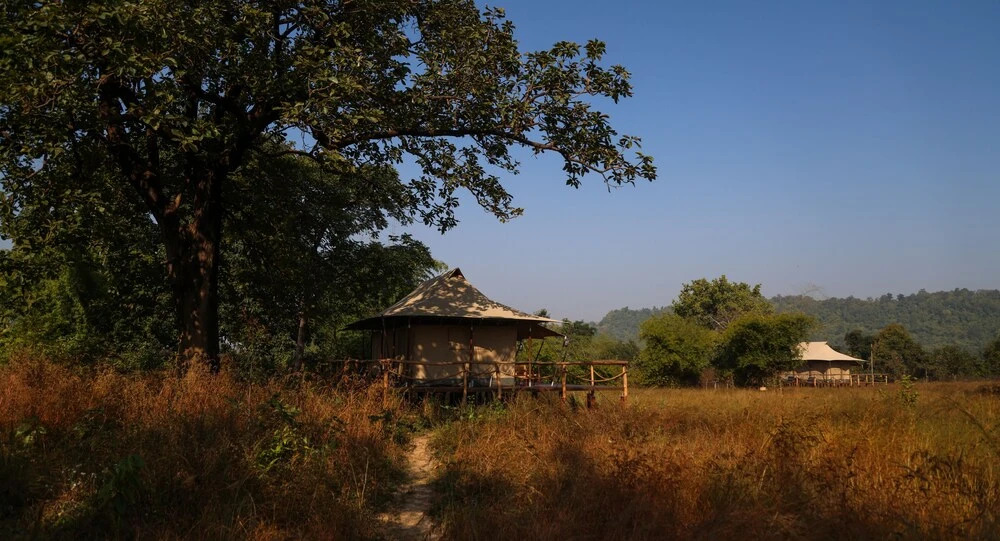 The Untamed Bandhavgarh by TUTC