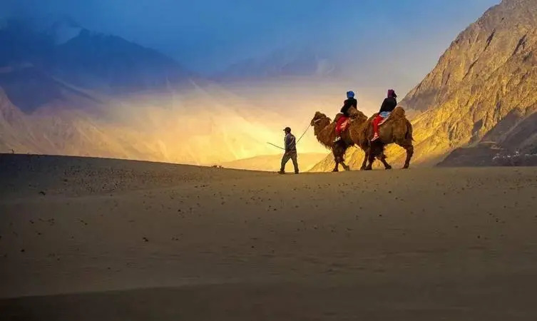 Hotel Nubra Residency - Hunder