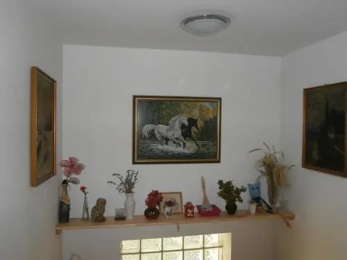 Apartment Žvan