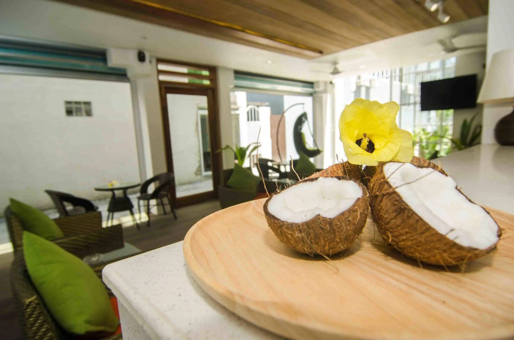 Coconut Tree Hulhuvilla Beach