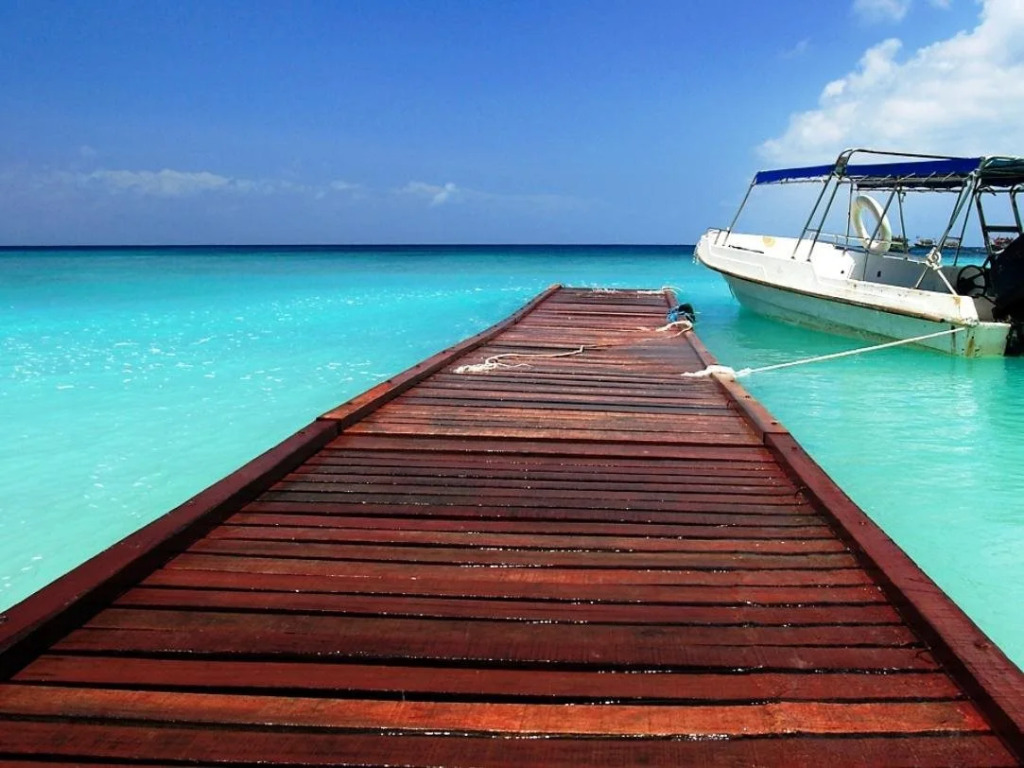 D'Coconut Lagoon
