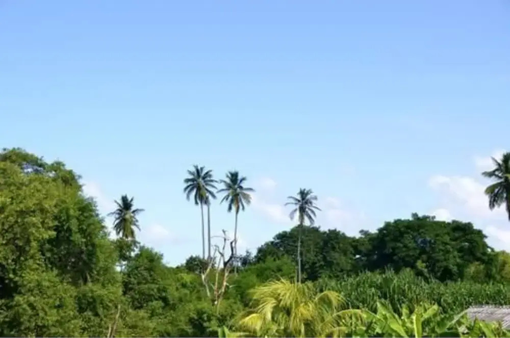 Casa Coral