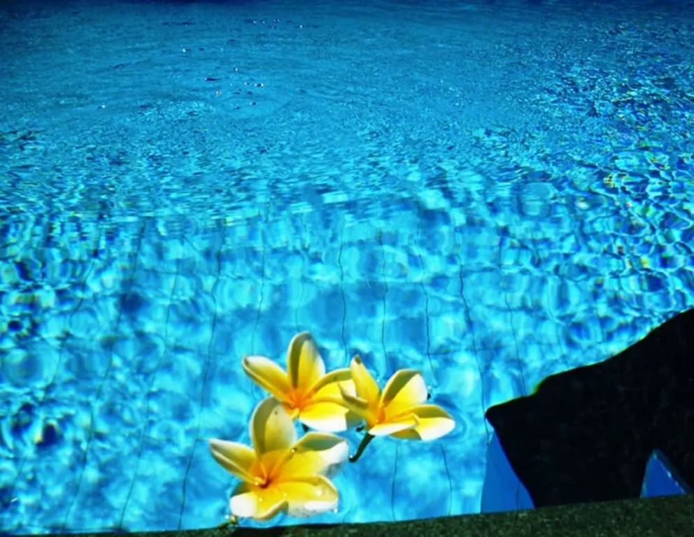 Samas Cottages and Villas