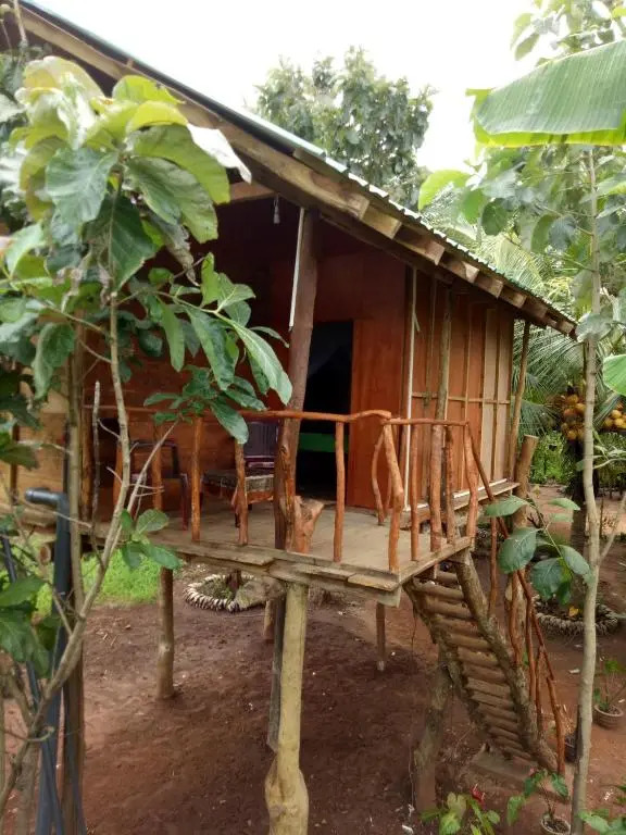 Sigiri Aliya Tree house