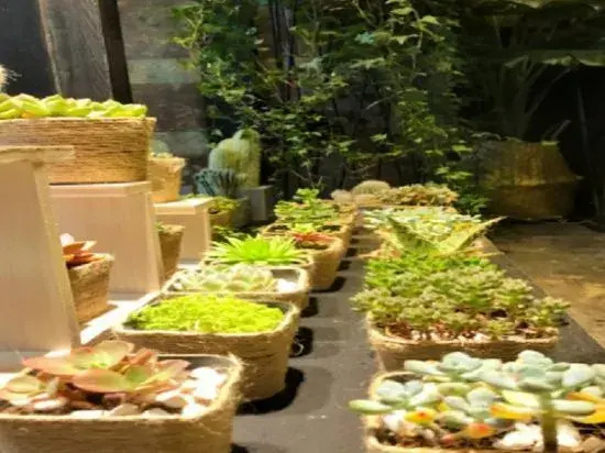 Guichao Theme Hotel
