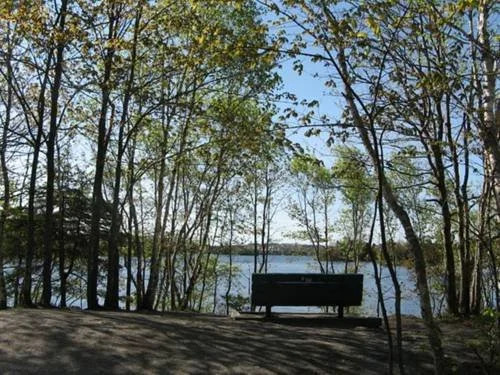 Braeside Court Bed & Breakfast