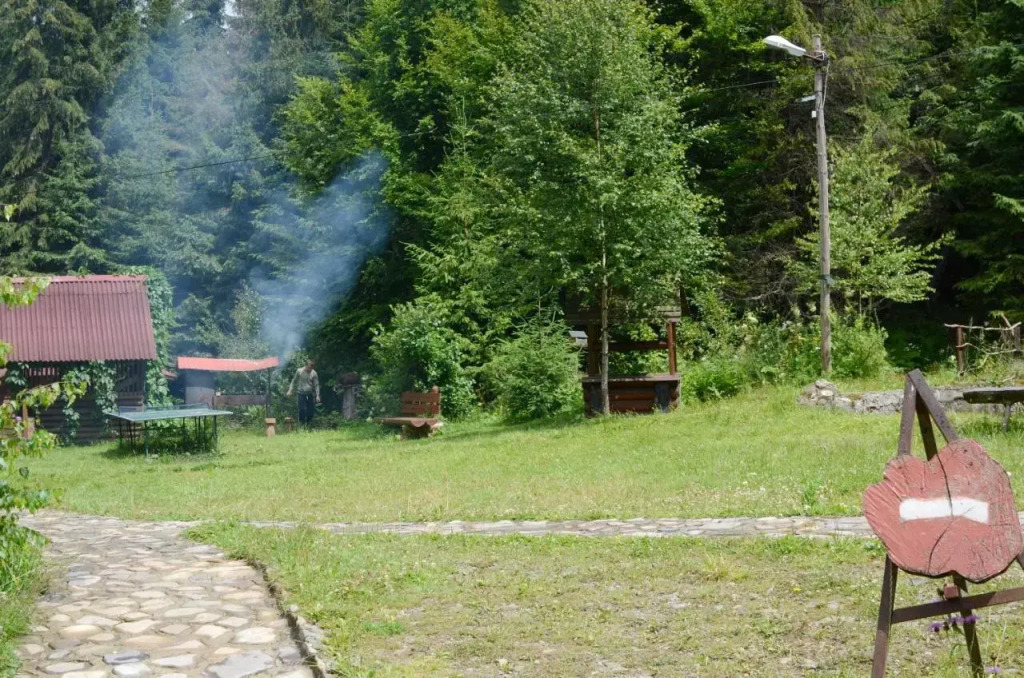 Zarinok