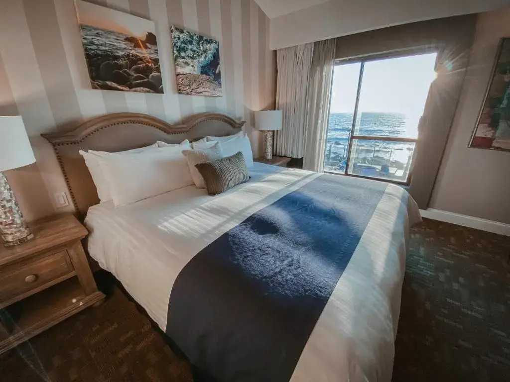 Hotel Punta Morro