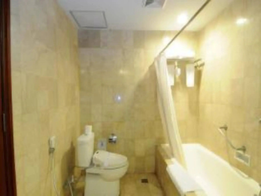 Hotel Savoy Homann