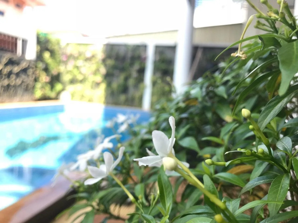 Leevid Residence Siem Reap
