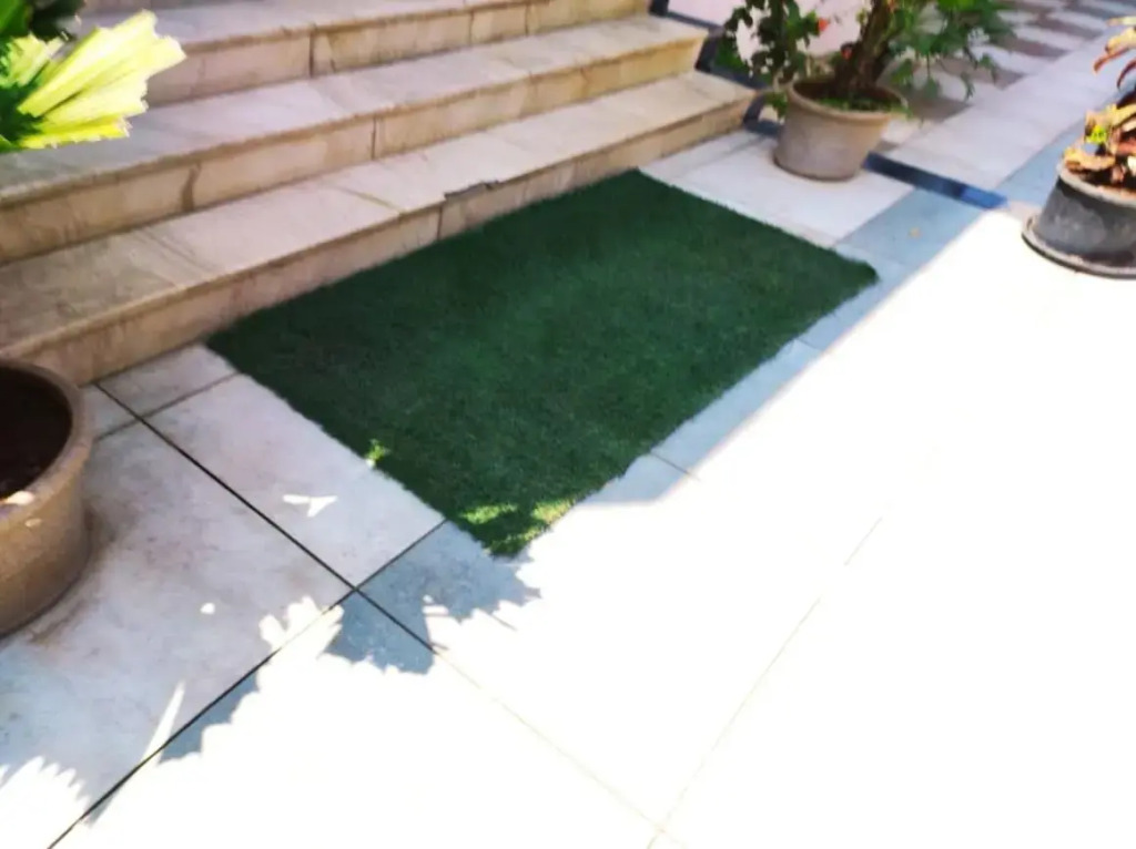 Hotel Manasi INN