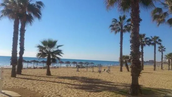 La Mata