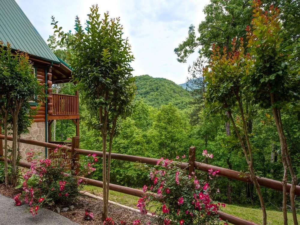 Triple Mountain View - Three Bedroom Cabin