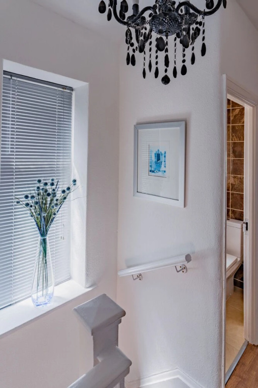 Homebird Property - Carter Knowle House-2