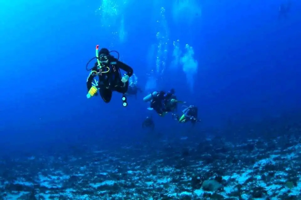 103 ELEGANT 2 bed apartment with free Wifi, AC, pool & gym!