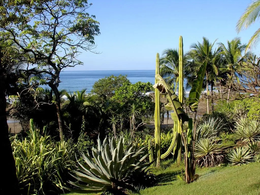 Casas Pelicano