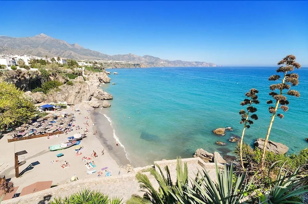 Las Palmas, Oasis de Capistrano