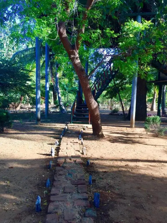 Yala Eco Tree House New
